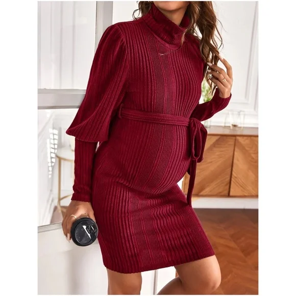 Maternity Ribbed Turtleneck Sweater Dress - Picture 13 of 13